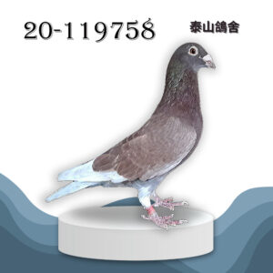 2020-119758 慕利門