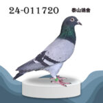 2024-011720 3546x詹森
