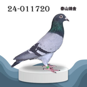 2024-011720 3546x詹森