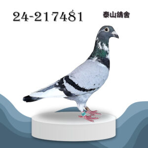 24-219481 勢山細川