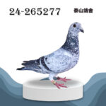 24-265277 李巴克
